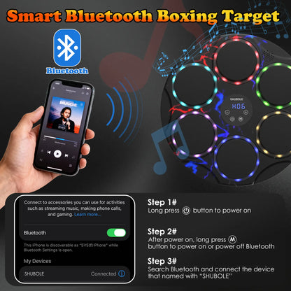 SHUBOLE Wall-Mounted Music Boxing Trainer with Gloves - 9-Speed Punch Game for Adults and Kids, Upgraded 2025 Gift for Boys Age 6+