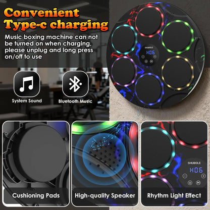 SHUBOLE Wall-Mounted Music Boxing Trainer with Gloves - 9-Speed Punch Game for Adults and Kids, Upgraded 2025 Gift for Boys Age 6+