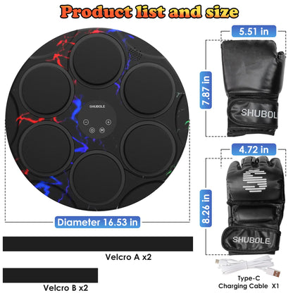 SHUBOLE Wall-Mounted Music Boxing Trainer with Gloves - 9-Speed Punch Game for Adults and Kids, Upgraded 2025 Gift for Boys Age 6+
